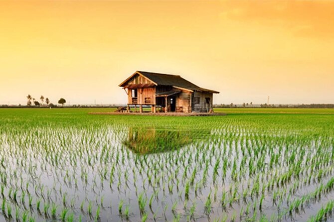Instagrammable Kuala Selangor Sky Mirror Tour with Transfer - The long road from Kuala Lumpur to Sasaran Beach