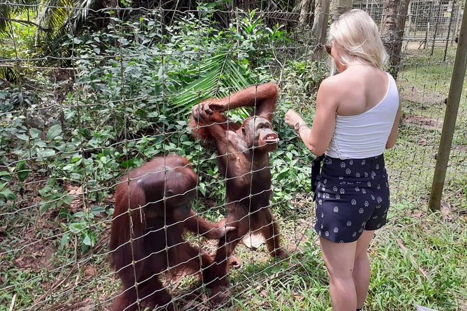Ipoh Heritage & Orang Utan Island Day Tour from Kuala Lumpur - The long return to Kuala Lumpur