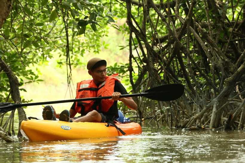 Johor: Sungai Lebam Kayaking with Transfer - What you may see along the Lebam River