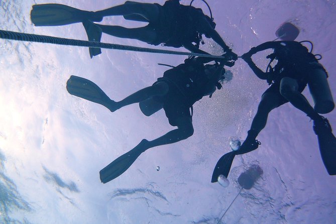 Join us for a RAID Try Dive in Kota Kinabalu - Who should book this Kota Kinabalu experience