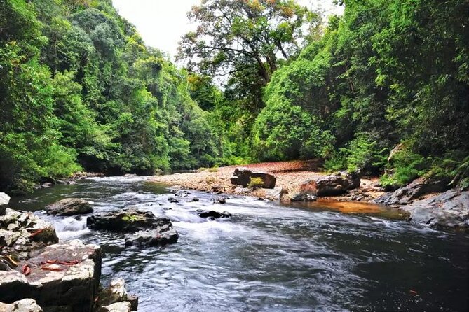 Jungle Odyssey: Unleash Your Adventure in Taman Negara! - Lunch and what the $169.66 price covers