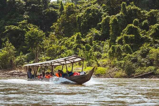 Jungle Odyssey: Unleash Your Adventure in Taman Negara! - Walking beneath a 130-million-year-old rainforest