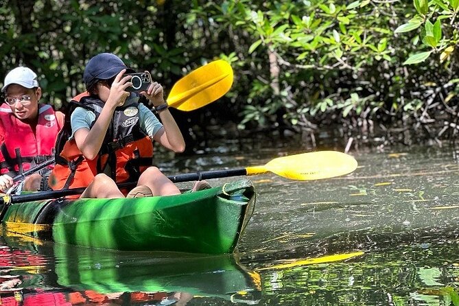 Kayaking Kilim Mangrove Geoforest - Kayaking through the mangroves