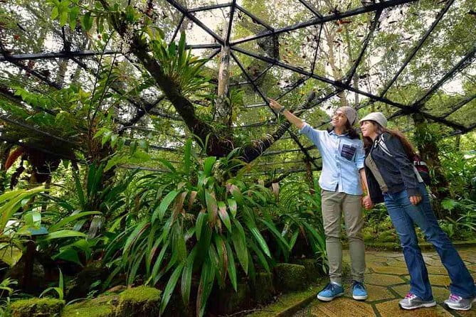 Kinabalu National Park Tour - Key points to know before booking