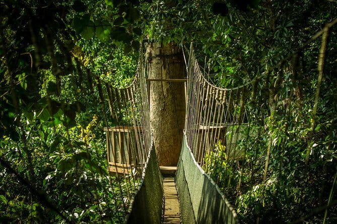 Kinabalu National Park Tour - Leaving Kota Kinabalu for Sabah’s mountain country