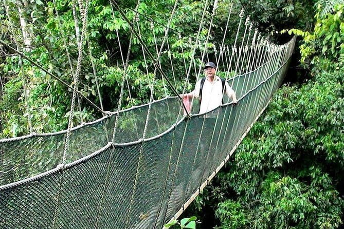 Kinabalu National Park Tour - Desa Dairy Farm and a taste of Kundasang