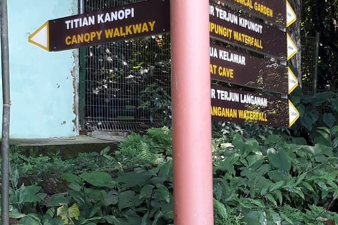 Kinabalu Park Day Trip - The canopy walk adds the most active section