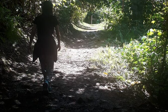 Kinabalu Park Day Trip - A private car makes the long route easier