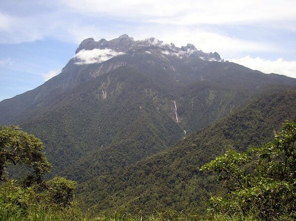 Kinabalu Park & Poring Hot Spring & Canopy Walk - Key points to know before you book