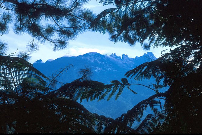 Kinabalu Park & Poring Hot Spring Tour - Lunch and the Rafflesia possibility