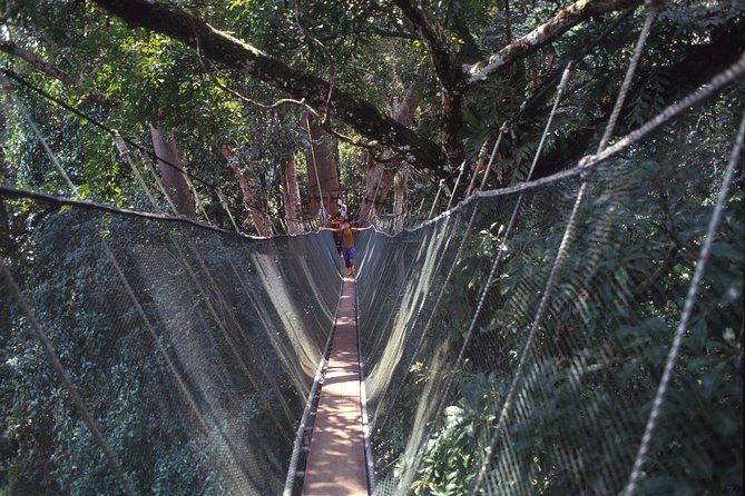 Kinabalu Park & Poring Hot Spring Tour - What the guide adds to the day
