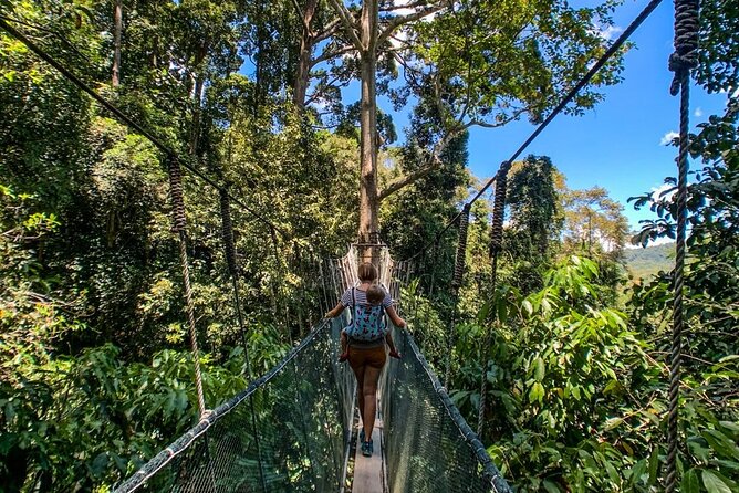Kinabalu Park & Poring Hot Springs Tour with Desa Dairy Farm - Timing, group size, and practical planning