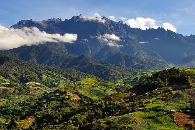 Kinabalu Park & Poring Hot Springs Tour with Desa Dairy Farm - Desa Dairy Farm beneath Mount Kinabalu