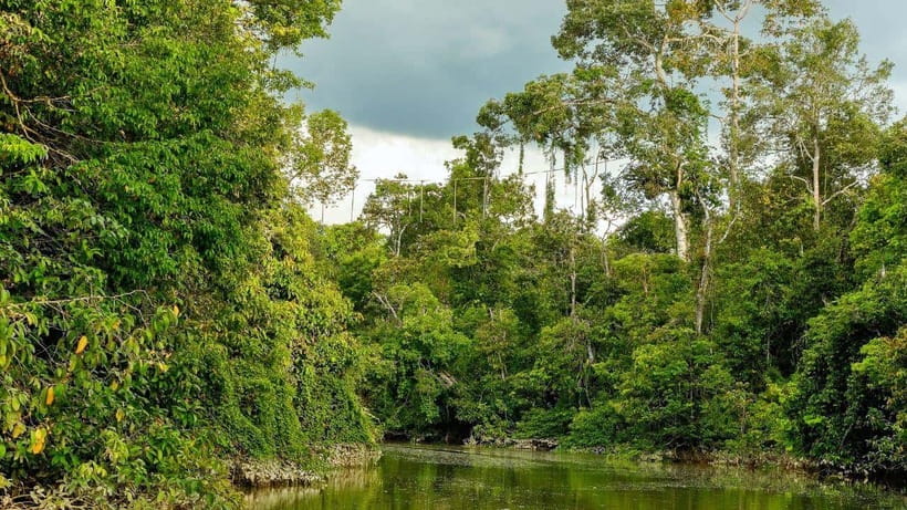 Kinabatangan River Trip from Sandakan with Lunch Included - Who will enjoy this day most