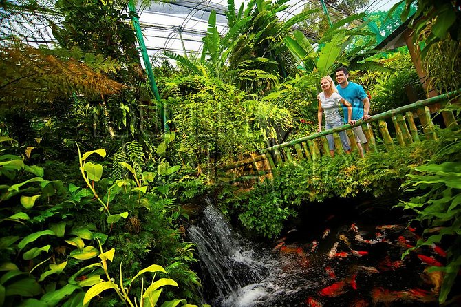 KL Butterfly Park Admission with Kuala Lumpur Famous Landmarks - Sultan Abdul Samad Building and Merdeka Square