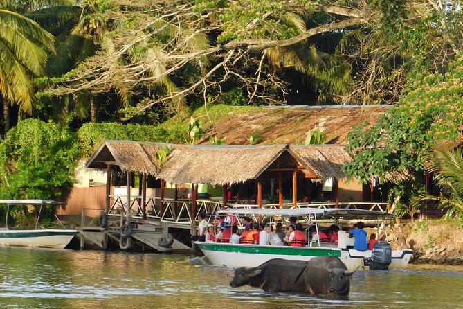 Klias Wildlife Safari River Cruise - Proboscis Monkey & Fireflies - Why this Klias Wetlands day is worth your time