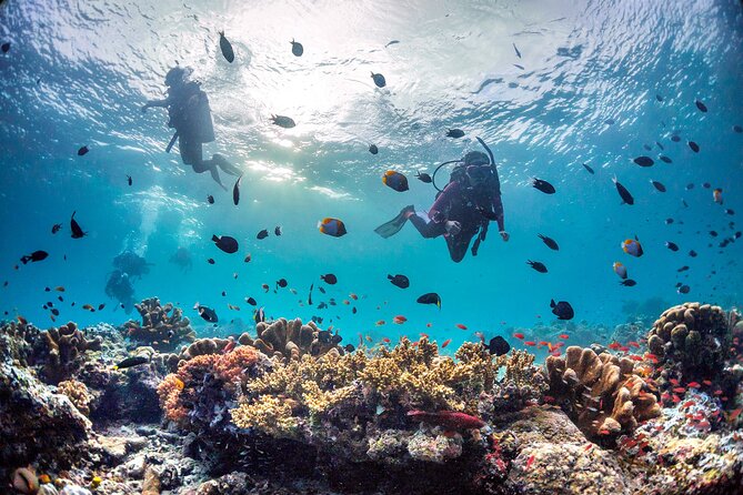 Kota Kinabalu Leisure Scuba Diving Trip (3 Dives) - Three sessions, three separate chances to see marine life