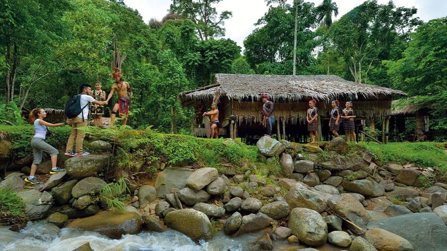 Kota Kinabalu : Mari-Mari Cultural Village Day Tour - The nature walk and useful plants