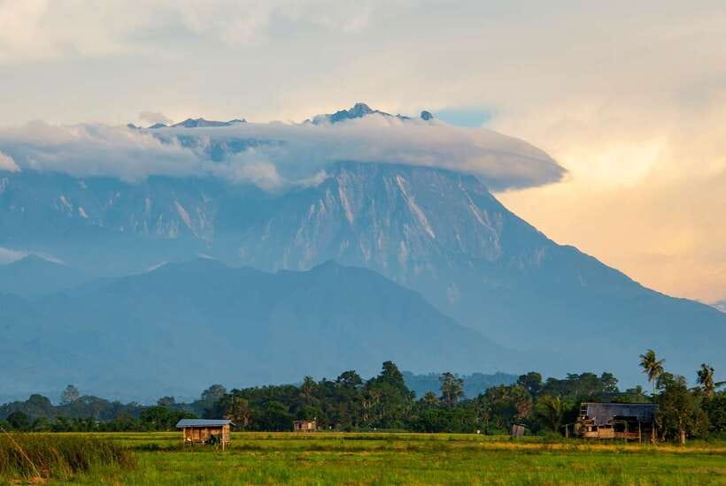 Kota Kinabalu: Private Kundasang and Poring Hot Spring Tour - Kinabalu Park’s Botanical Garden