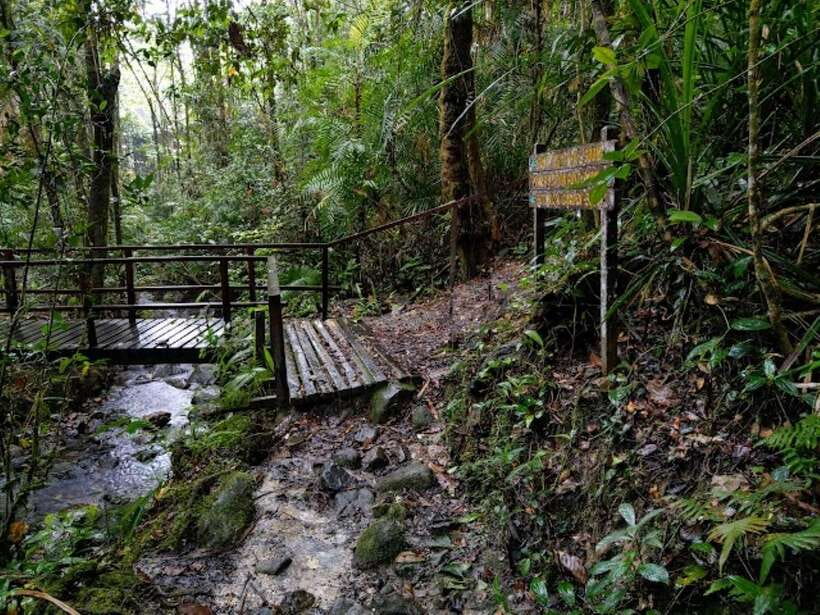 Kota Kinabalu: Private Kundasang and Poring Hot Spring Tour - What the $118 Price Really Buys