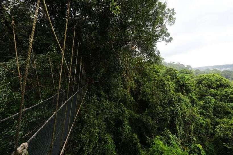 Kota Kinabalu: Private Kundasang and Poring Hot Spring Tour - Should You Book This Kundasang Tour?