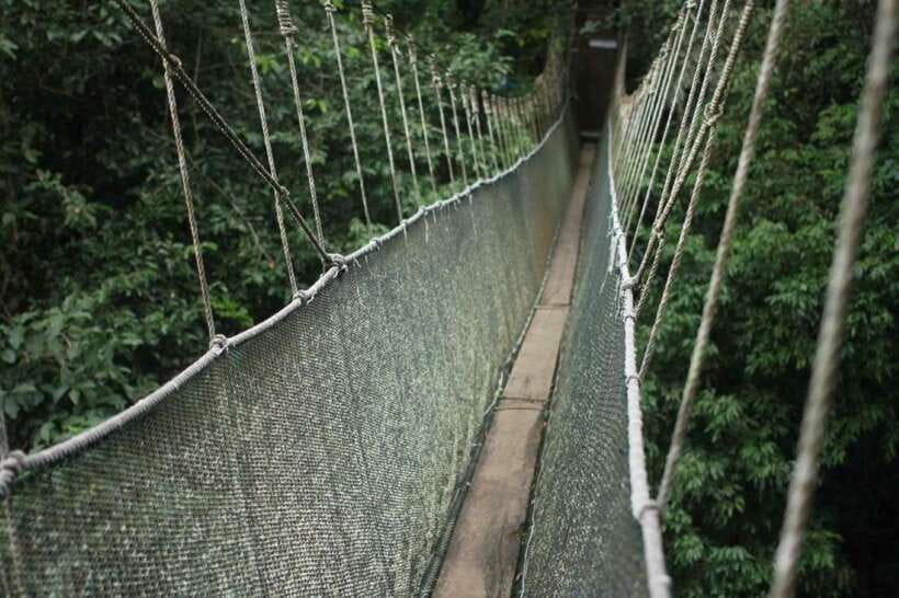 Kota Kinabalu: Private Kundasang and Poring Hot Spring Tour - Poring Hot Springs: Warm Water in a Forest Setting