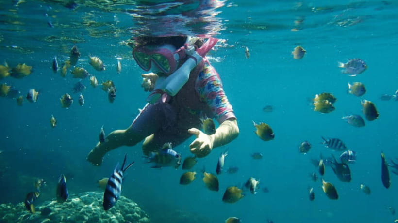 Kota Kinabalu : Snorkeling at Ara Dinawan Private Island - Lunch, local tea, and time to slow down