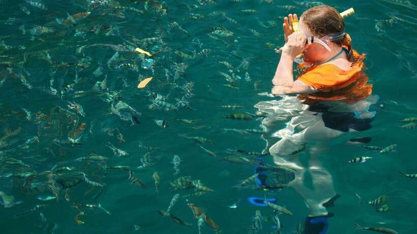 Kota Kinabalu: Snorkeling & Island Hopping Sapi & Manukan - Boat transfers and the pace of the day