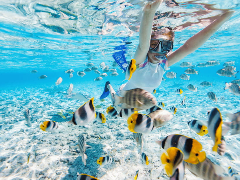Kota Kinabalu | Snorkeling Sapi Island/Manukan Island - Buffet lunch and the beachside picnic
