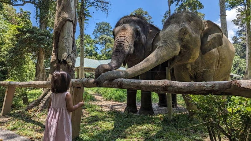 Kuala Lumpur: Batu Caves & Kuala Gandah Elephant Sanctuary - Key points to know before booking