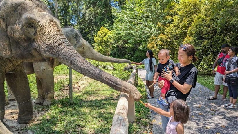 Kuala Lumpur: Batu Caves & Kuala Gandah Elephant Sanctuary - Deerland Park in Lanchang