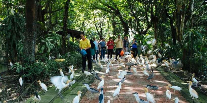 Kuala Lumpur: Bird Park, Butterfly & Garden Private Tour - Is $79 per person fair value?