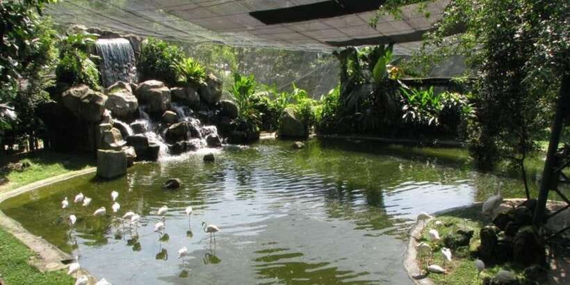 Kuala Lumpur: Bird Park, Butterfly & Garden Private Tour - Should you book it?
