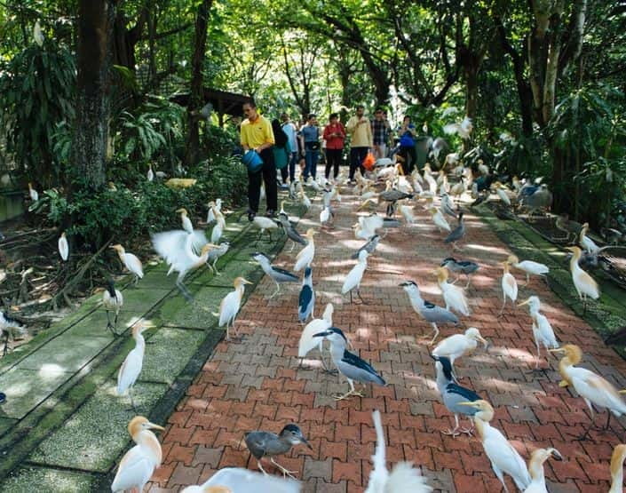 Kuala Lumpur: Bird Park, Butterfly & Garden Private Tour - Butterfly Park and the small details worth seeing