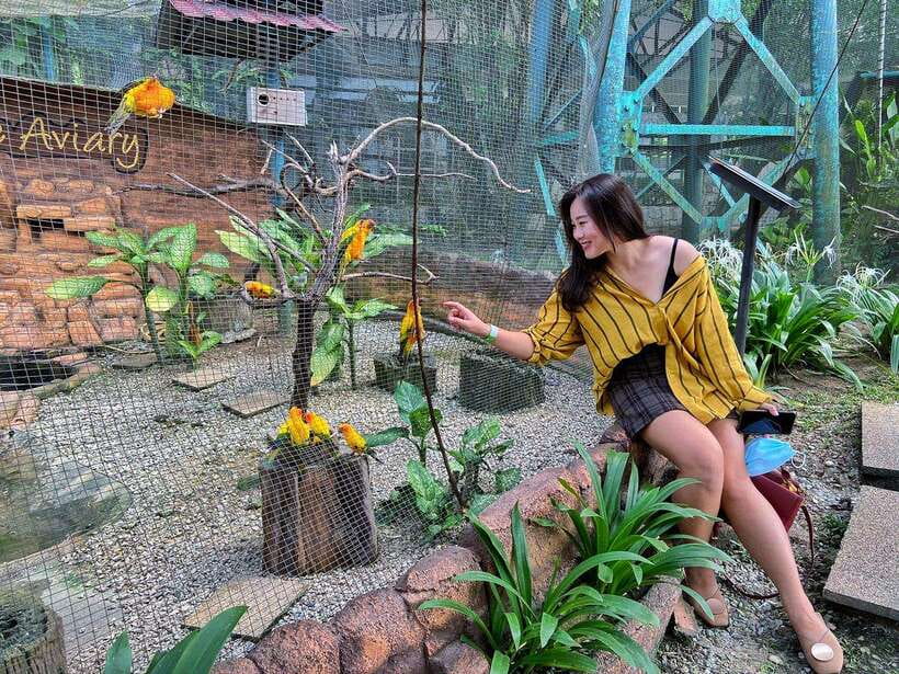 Kuala Lumpur: Bird Park Day Ticket & 1-Way Transfer - Who should book this bird park visit?