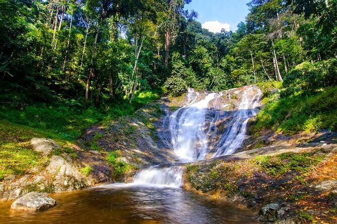 Kuala Lumpur: Cameron Highlands & Batu Caves Private Day Tour - Tea country at Cameron Bharat Tea Estate