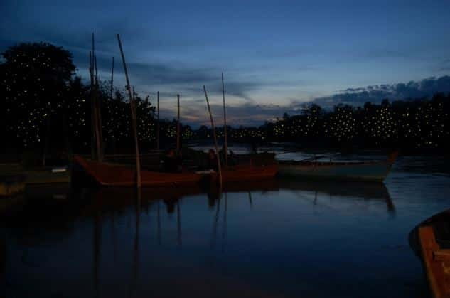 Kuala Lumpur: Fireflies & Blue Tears Tour with Seafood Meal - A seafood dinner beside the river