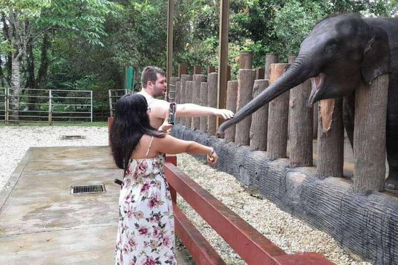 Kuala Lumpur: Kuala Gandah and Batu Caves Private Trip - Should you book this Kuala Gandah and Batu Caves trip?