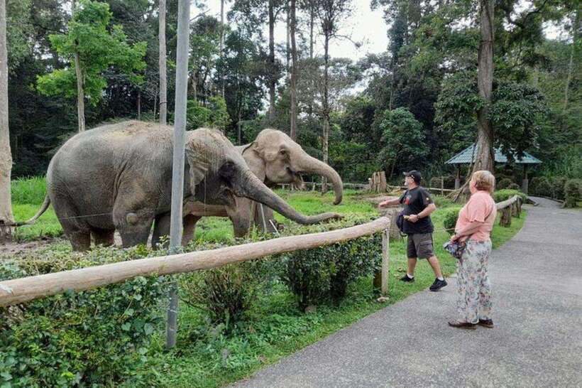 Kuala Lumpur: Kuala Gandah and Batu Caves Private Trip - The long road to Kuala Gandah is part of the tradeoff