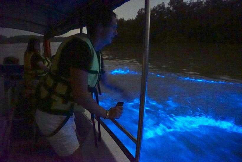 Kuala Lumpur: Kuala Selangor Fireflies and Blue Tears Tour - Seafood by the river at sunset