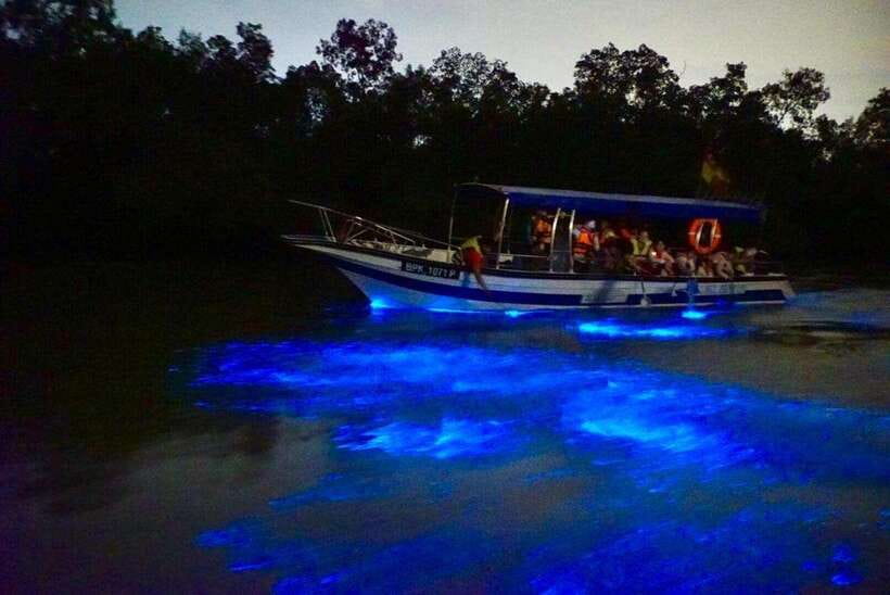 Kuala Lumpur: Kuala Selangor Fireflies and Blue Tears Tour - Guides, vehicles, and the shared-tour rhythm