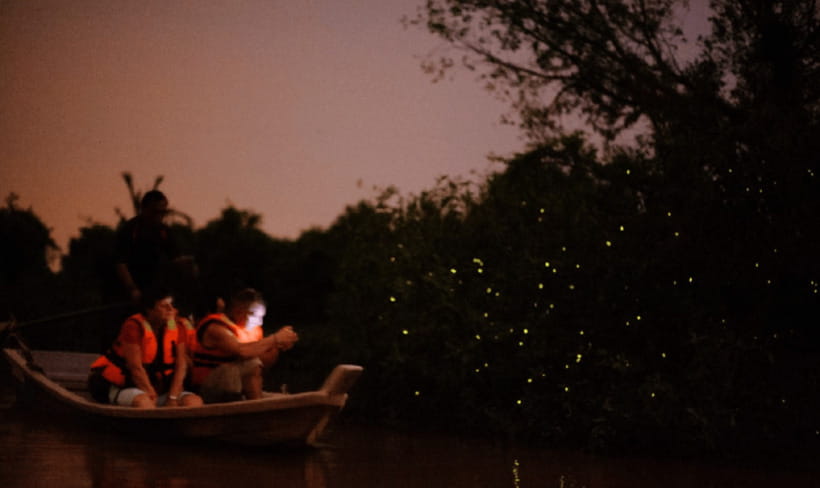 Kuala Lumpur: Kuala Selangor Firefly Tour and Dinner - Should you book the Kuala Selangor firefly tour?