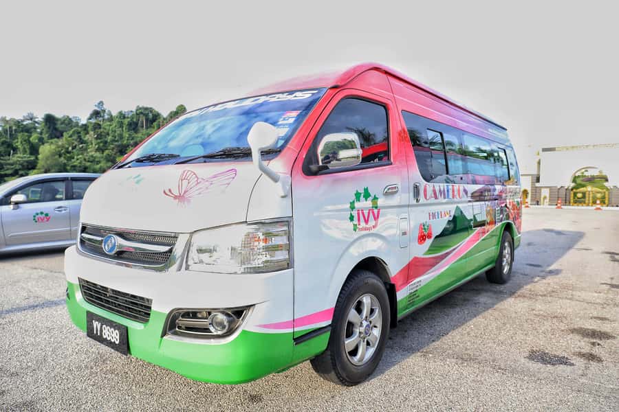 Kuala Lumpur: Sightseeing by Private Vehicle with Driver - What the drivers add to the day