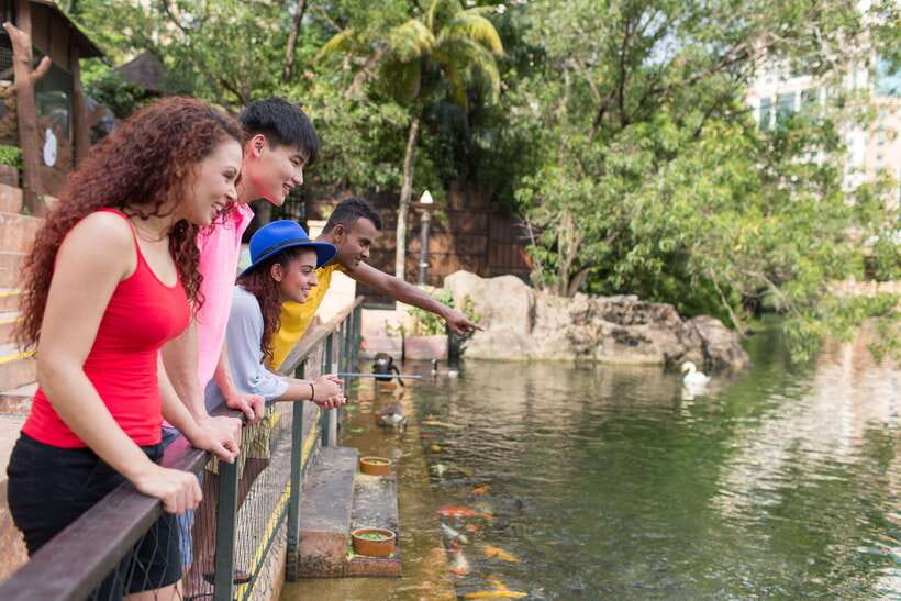 Kuala Lumpur: Sunway Lagoon Entry Ticket - Extreme Park for high-adrenaline challenges