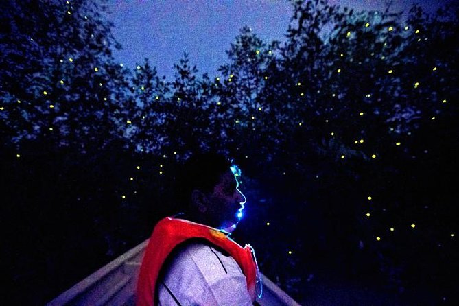 Kuala Selangor Fireflies Evening River Cruise from Kuala Lumpur - Sri Shakti Temple, a short but striking stop