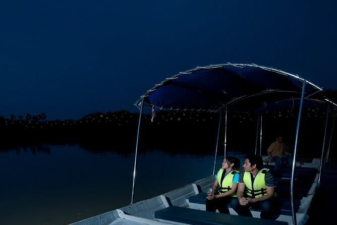 Kuala Selangor Firefly Blinkings Private Tour with Seafood Dinner - Why the fireflies are worth the evening trip