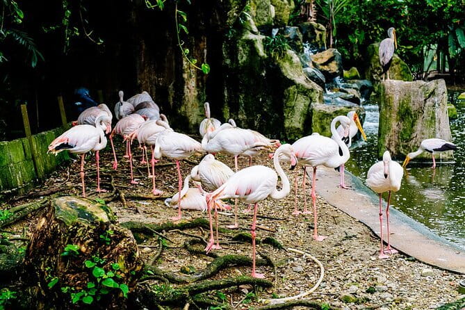 Kuala Selangor Sky Mirror Experience – Natural Mirror Beach Tour - Who should book this experience?