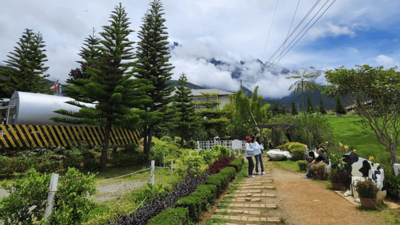 Kundasang: Day Tour with Desa Dairy Farm and Alpaca Club - The private-car format and the long road