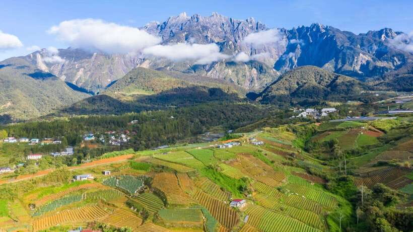 Kundasang: Day Tour with Desa Dairy Farm and Alpaca Club - Rumah Terbalik gives the morning a playful start