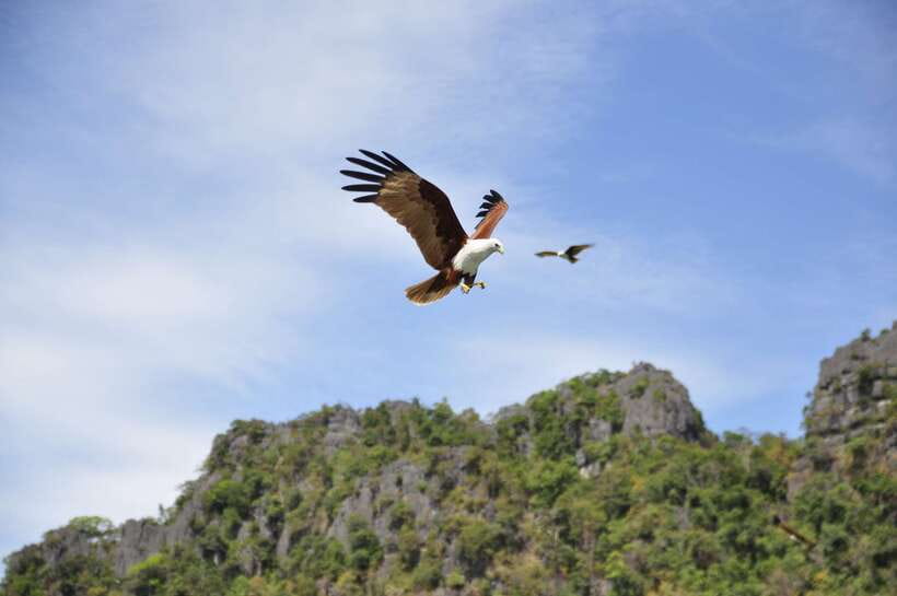 Langkawi: 6-Hour Private Island Highlights Tour - Sky Bridge and cable car: allow time for Langkawi’s headline sight